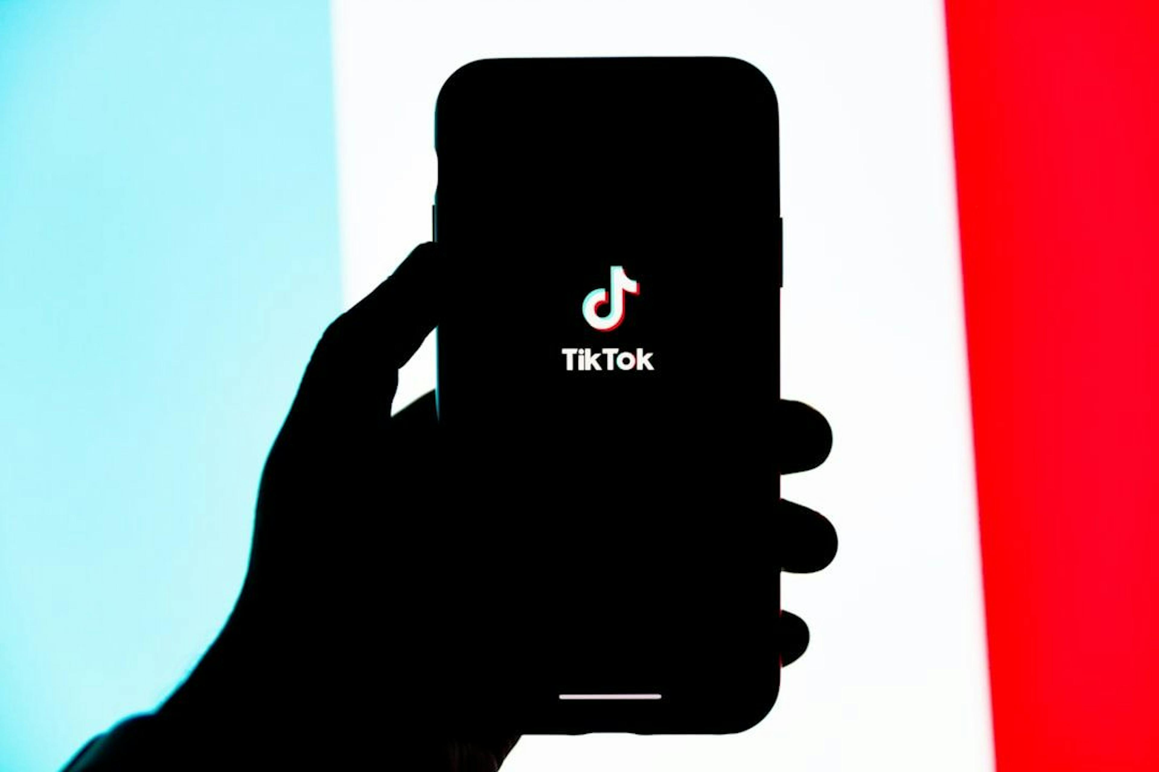 featured image - TikTok Asks Court to Deem its Ban Unconstitutional