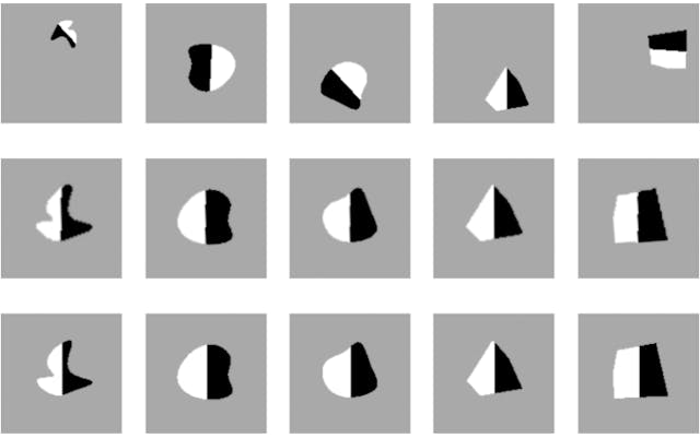 /how-disentangled-learning-tackles-catastrophic-forgetting feature image
