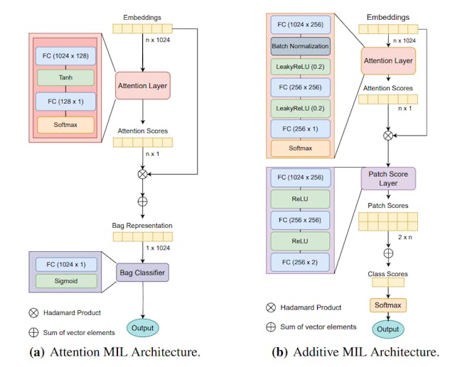 /how-ai-detects-cancer-in-whole-slide-images feature image