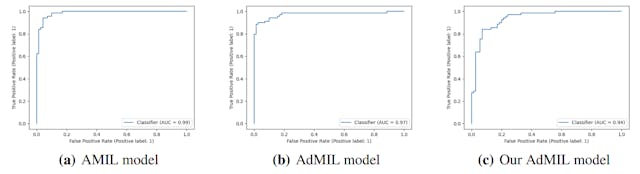 /a-comparative-study-of-attention-based-mil-architectures-in-cancer-detection feature image