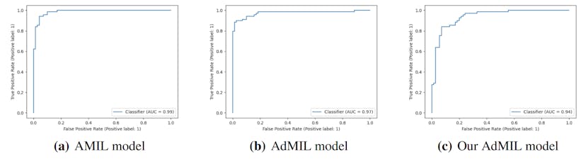 /a-comparative-study-of-attention-based-mil-architectures-in-cancer-detection feature image