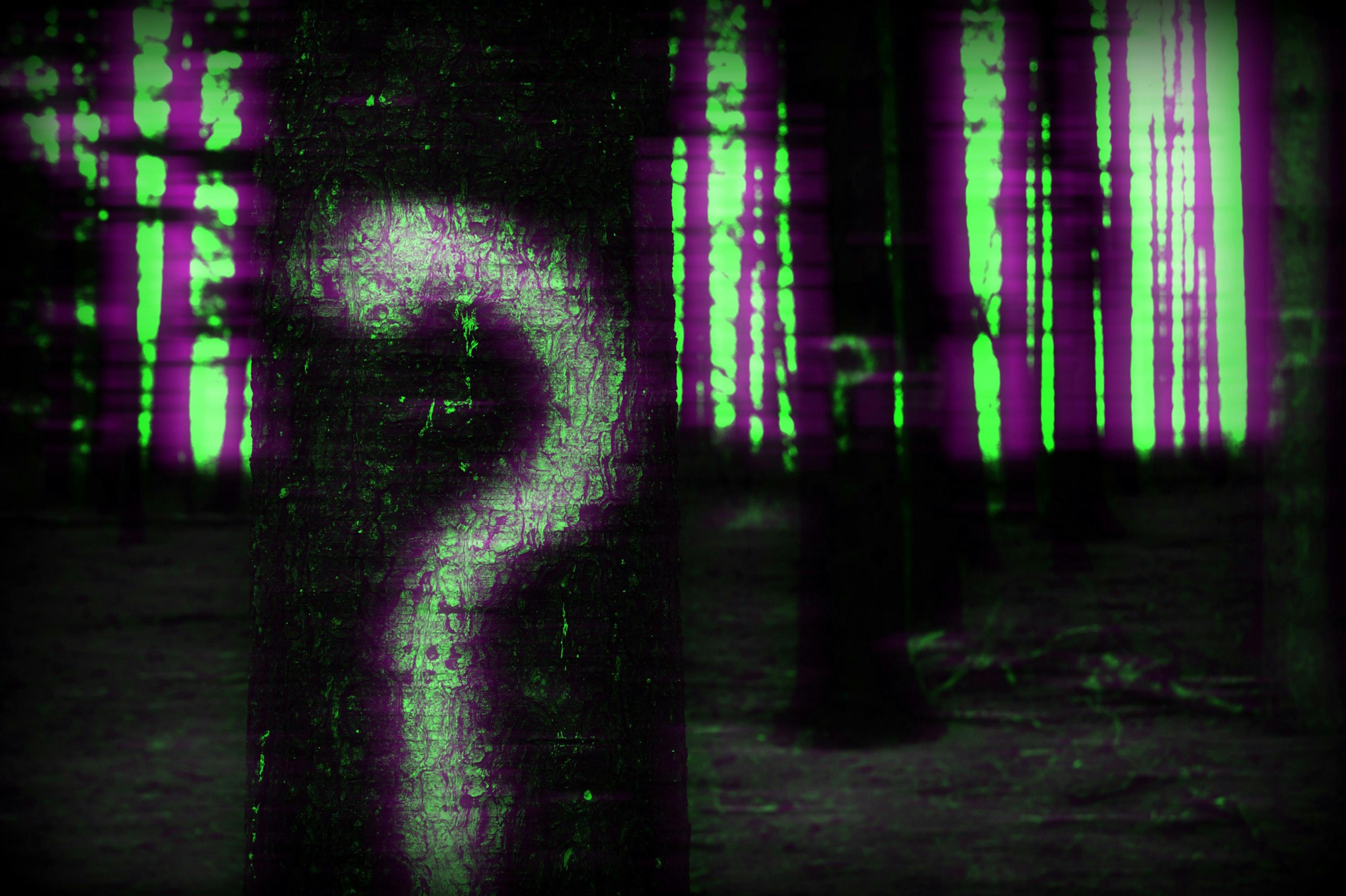 /10-questions-to-ask-every-startup-founder-c64e1b6deb5b feature image