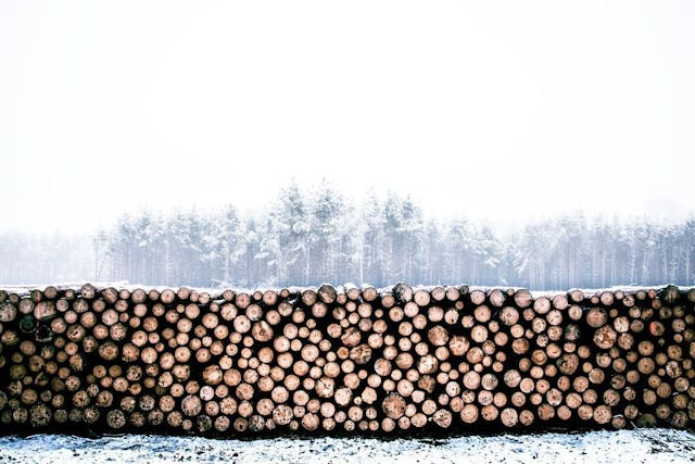 /logging-in-observability-part-2 feature image