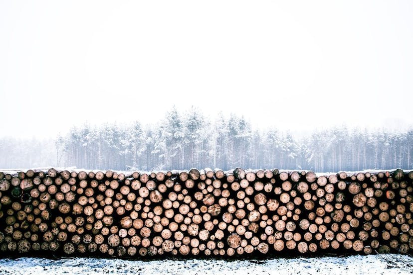 /logging-in-observability-part-2 feature image