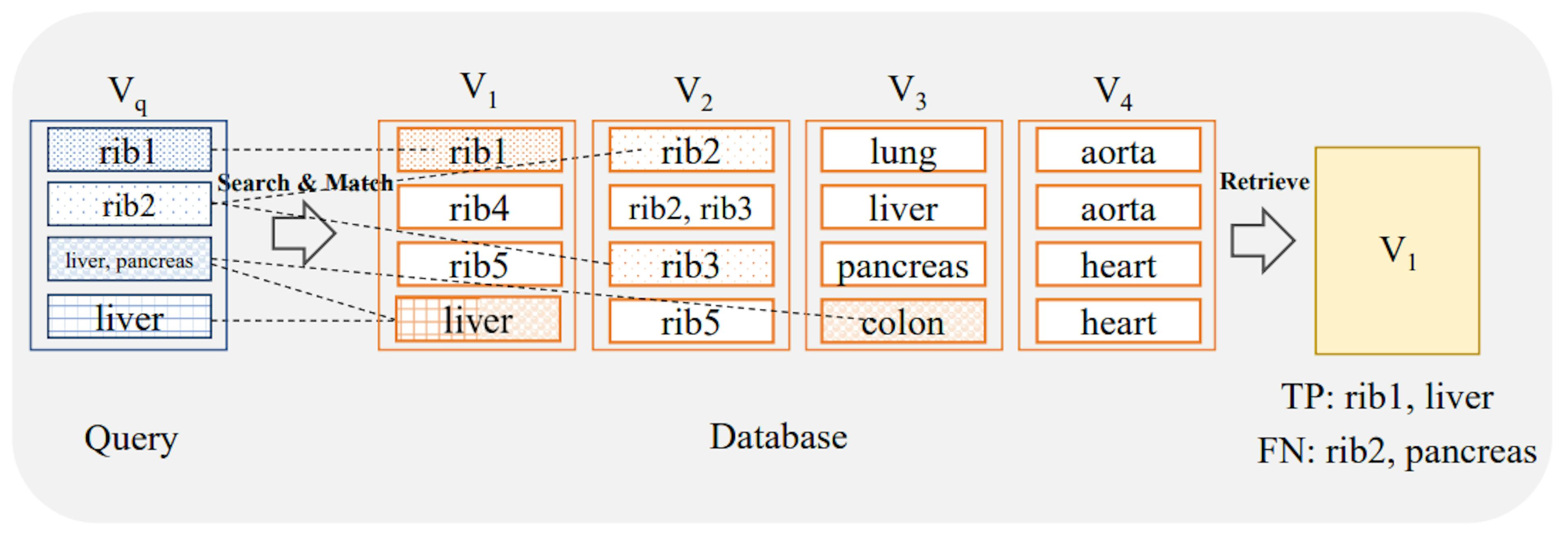 Building a CBIR Benchmark with TotalSegmentator and FAISS