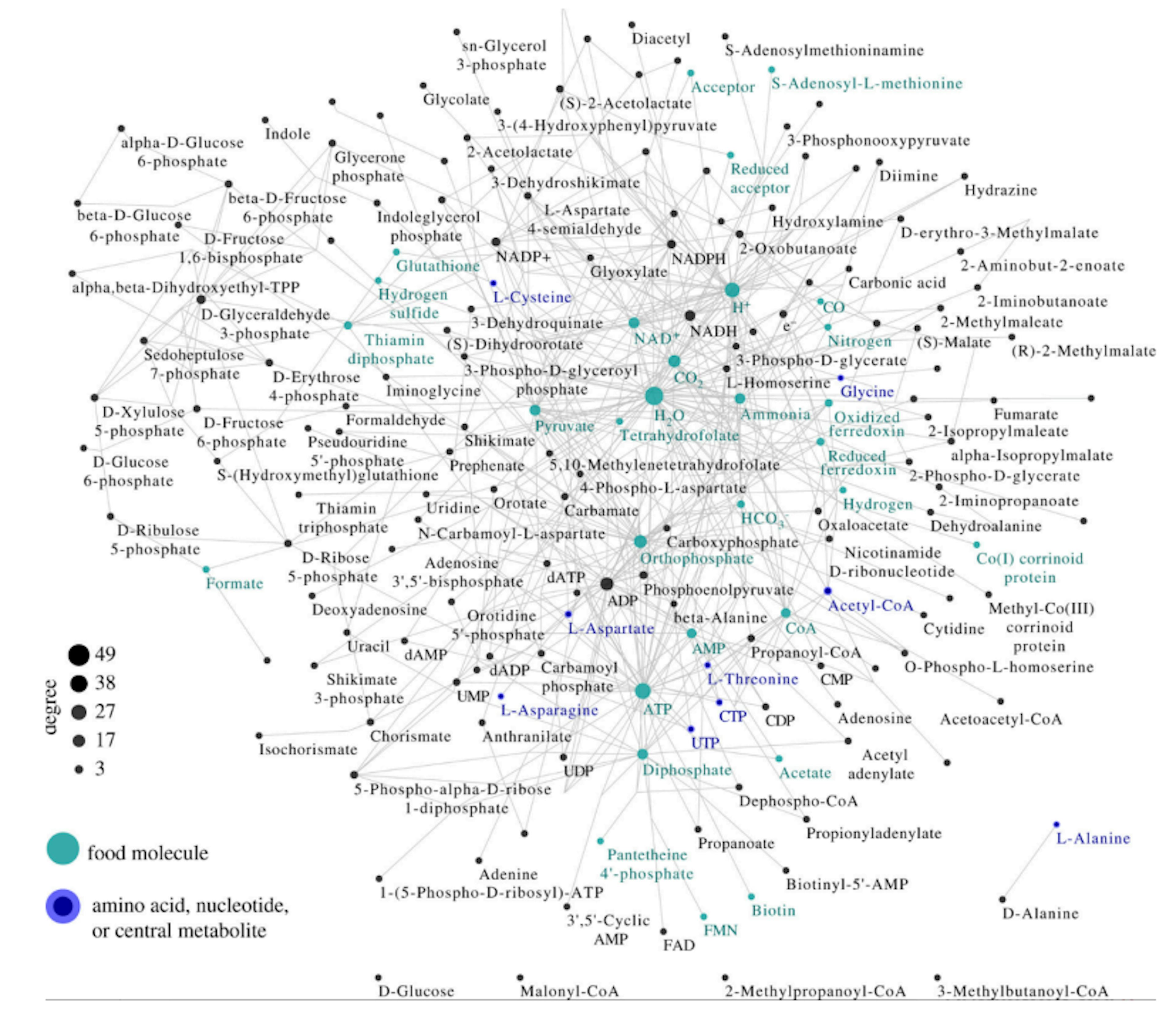 /the-limitations-of-set-theory-in-understanding-biological-evolution feature image