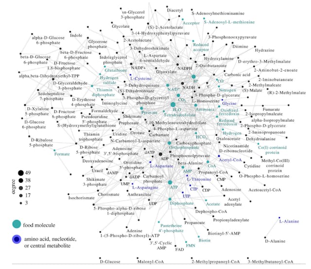 /the-limitations-of-set-theory-in-understanding-biological-evolution feature image