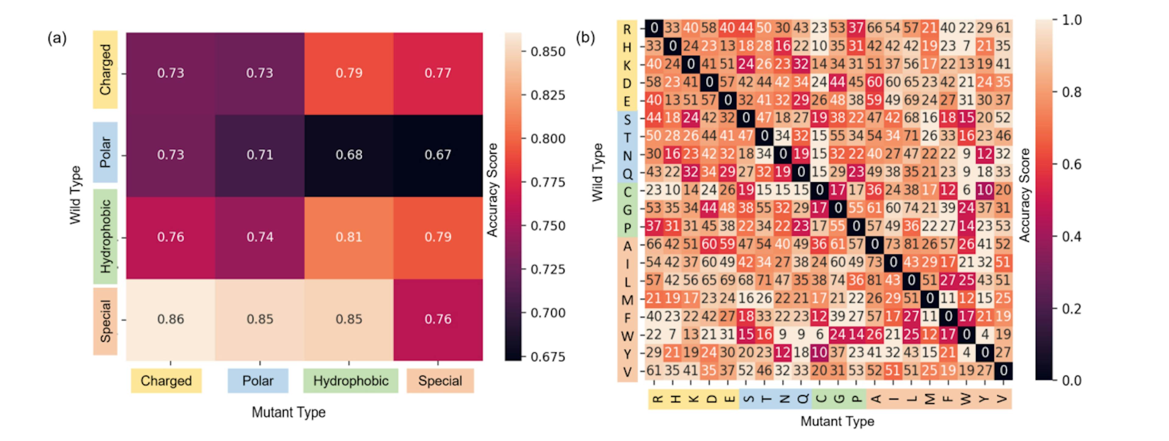 featured image - TopLapGBT: Bridging Gaps in Protein Solubility Prediction with Cutting-Edge Fusion