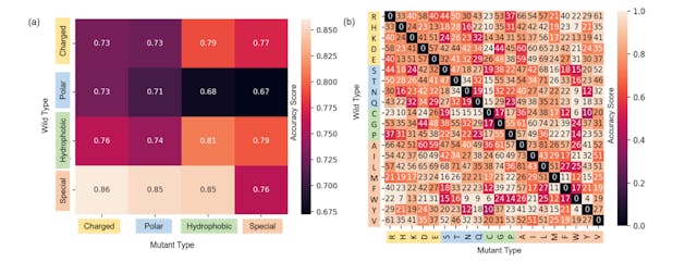 /toplapgbt-bridging-gaps-in-protein-solubility-prediction-with-cutting-edge-fusion feature image