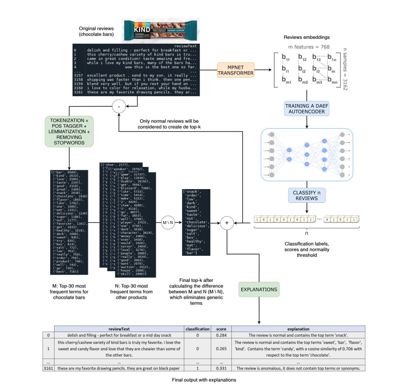 Explainable AI in Action: Generating Insights from Review Anomalies