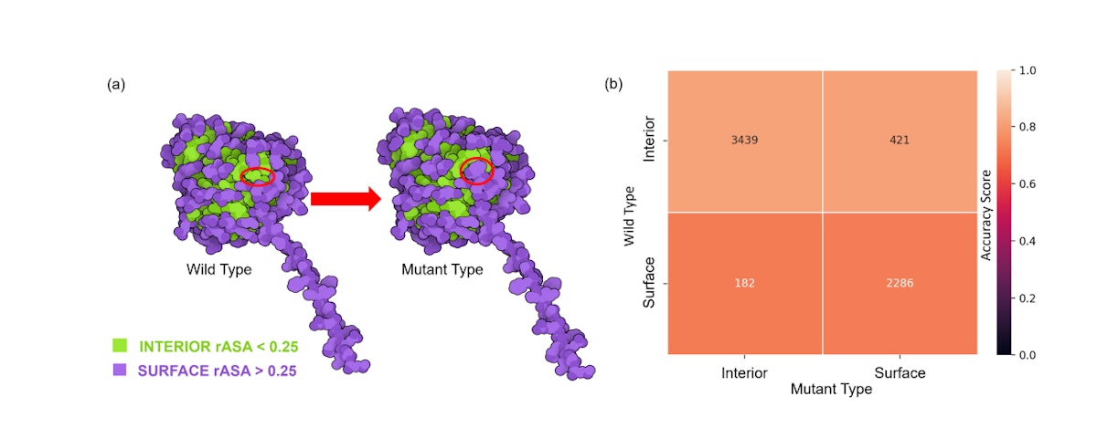 featured image - Unveiling Protein Solubility Patterns: Insights from TopLapGBT's Performance Analysis