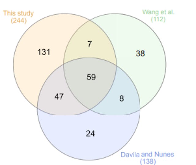 featured image - What Code Review Research Gets Wrong About Real Development Teams