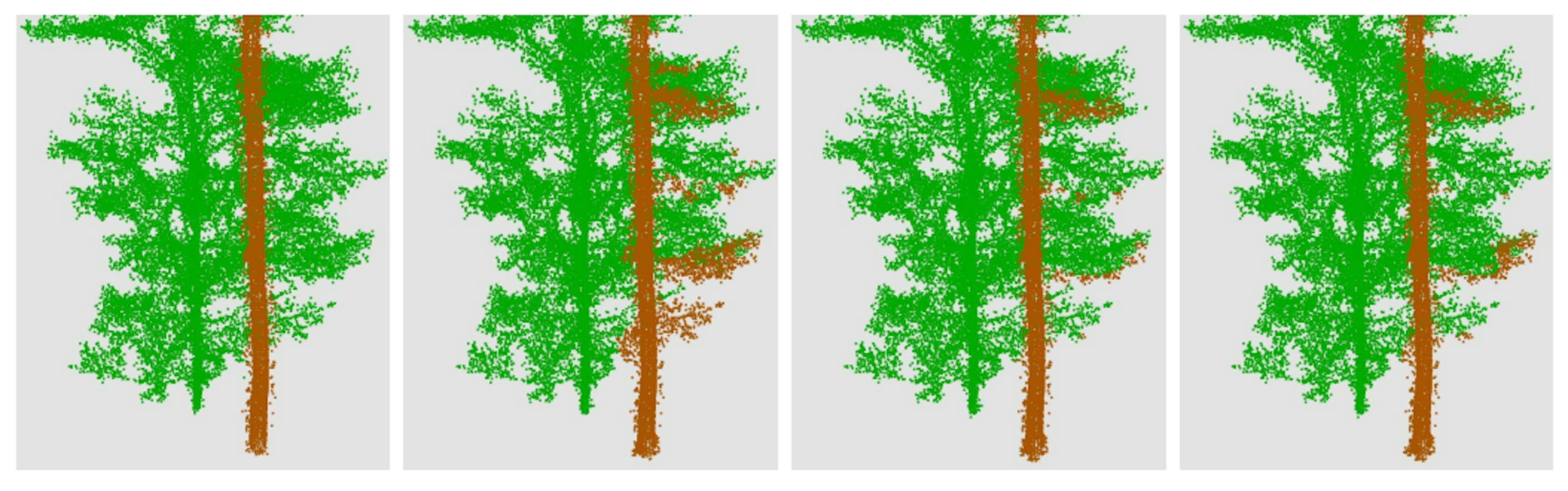 featured image - AI Models Can Now Identify Individual Trees from Forest Scans