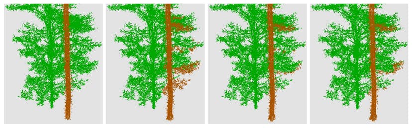 /ai-models-can-now-identify-individual-trees-from-forest-scans feature image