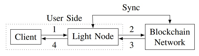 Light Nodes: Balancing Cost and Data Integrity in Blockchain Accessibility