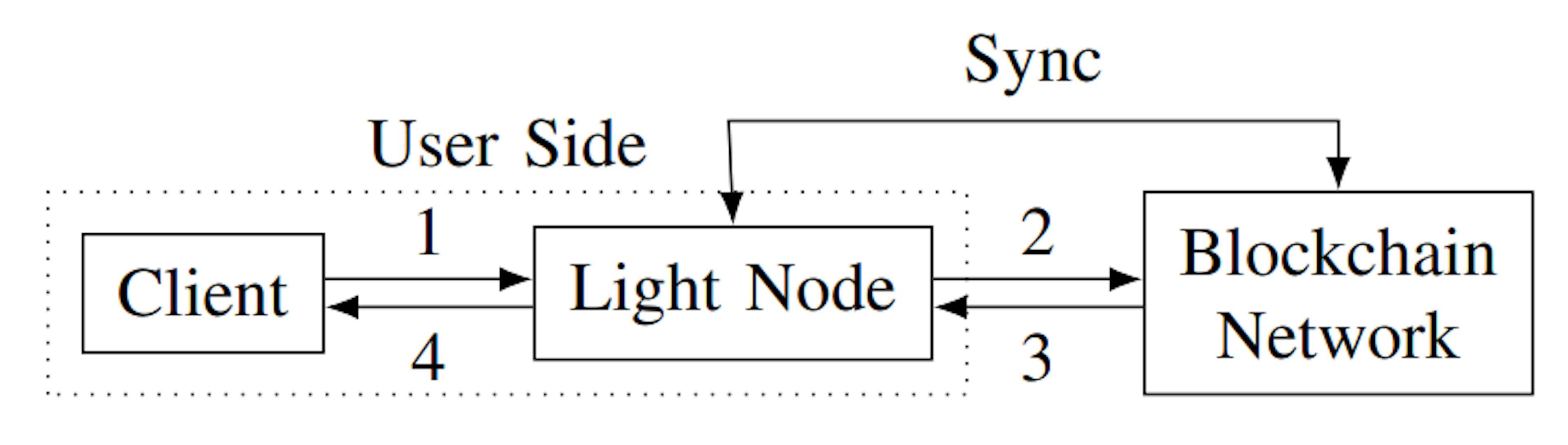 Light Nodes: Balancing Cost and Data Integrity in Blockchain Accessibility 
