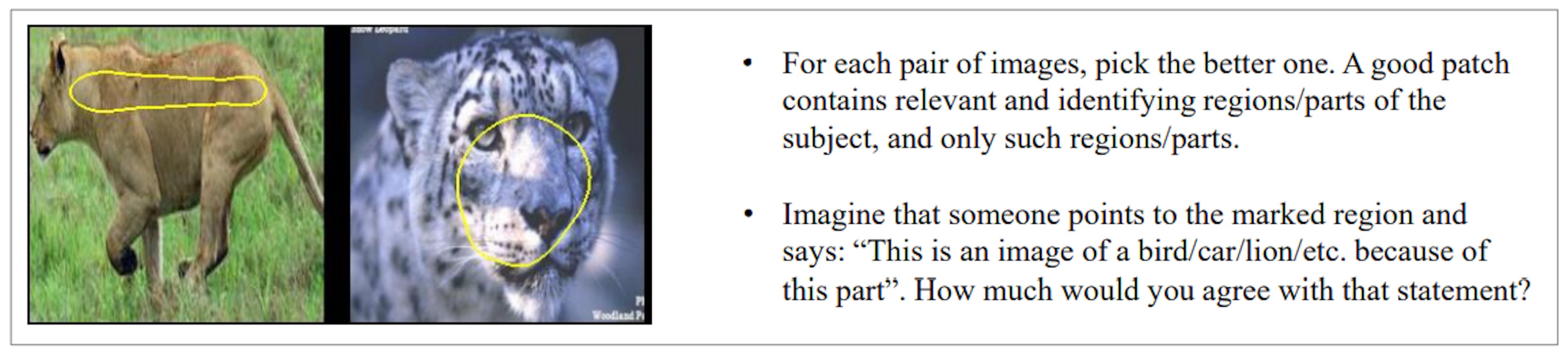 featured image - Evaluating Prototype Interpretability