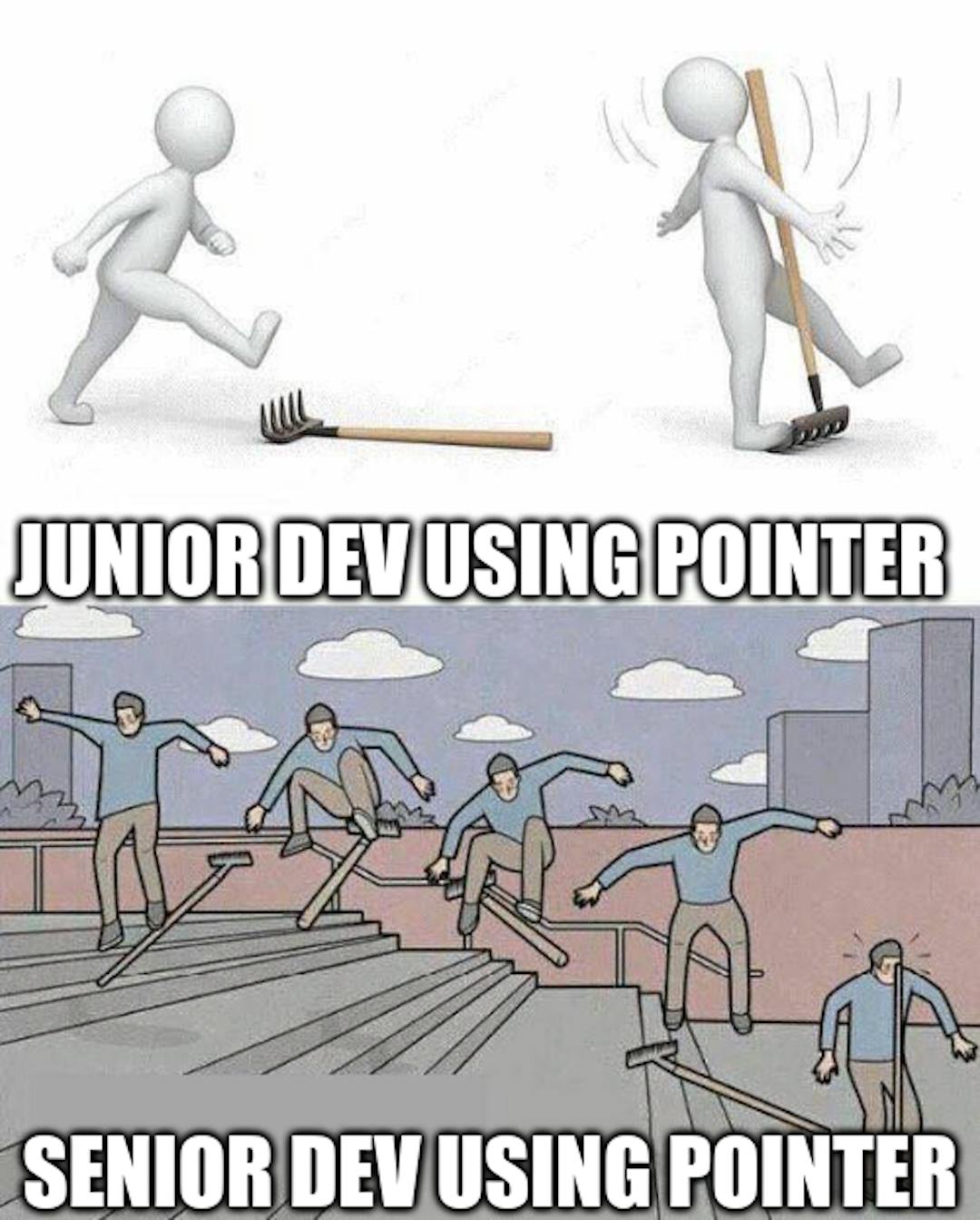 junior vs senior