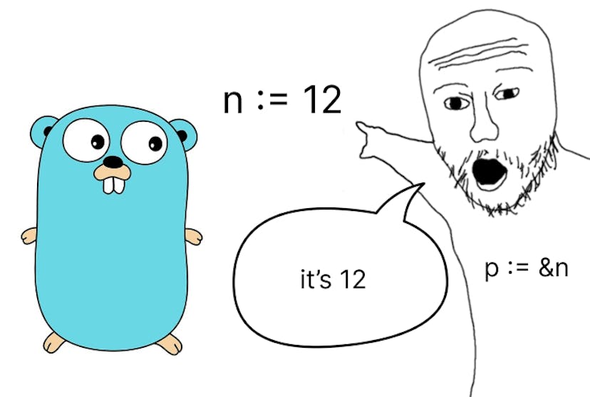 /pointer-and-nil-in-go-reasons-why-you-should-be-wary feature image