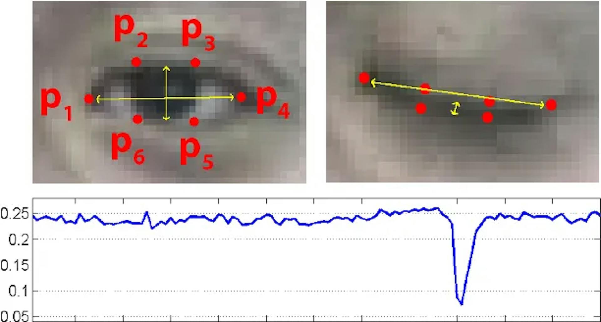 Soukupová, T., & Cech, J. (2016). Real-Time Eye Blink Detection using Facial Landmarks.