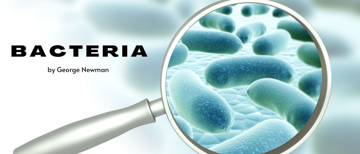 featured image - Bacteria: APPENDIX