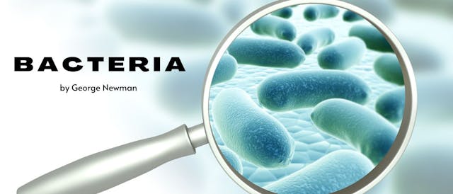 /bacteria-chapter-ii-bacteria-in-water feature image