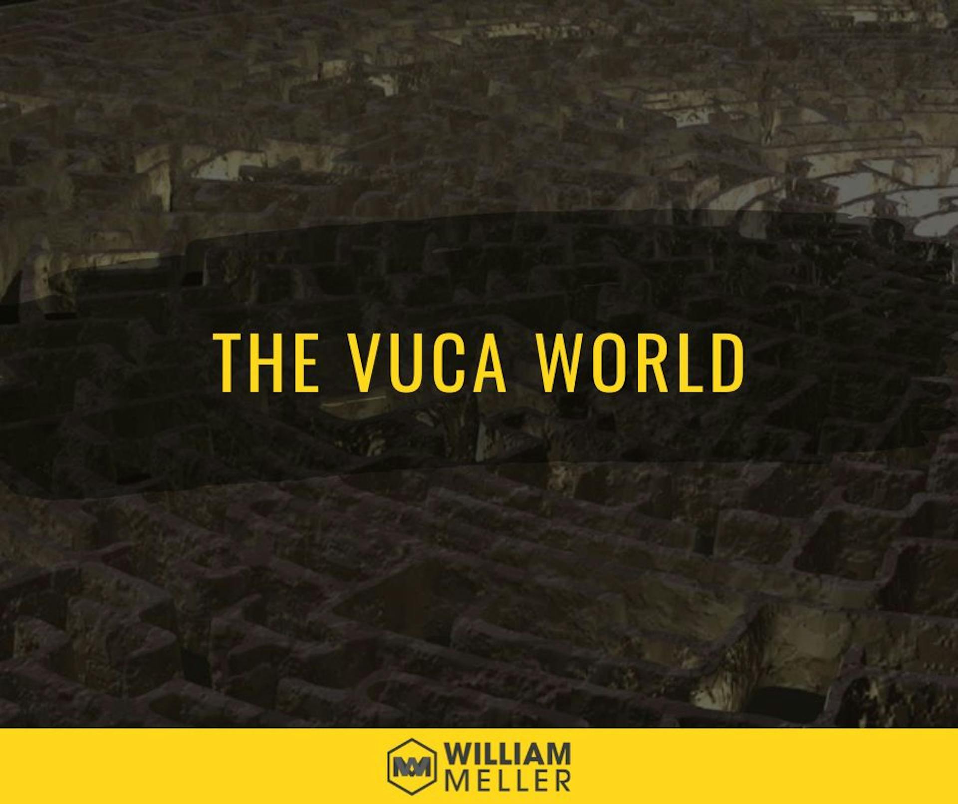 featured image - The VUCA World and its Implementation in Leadership Strategy