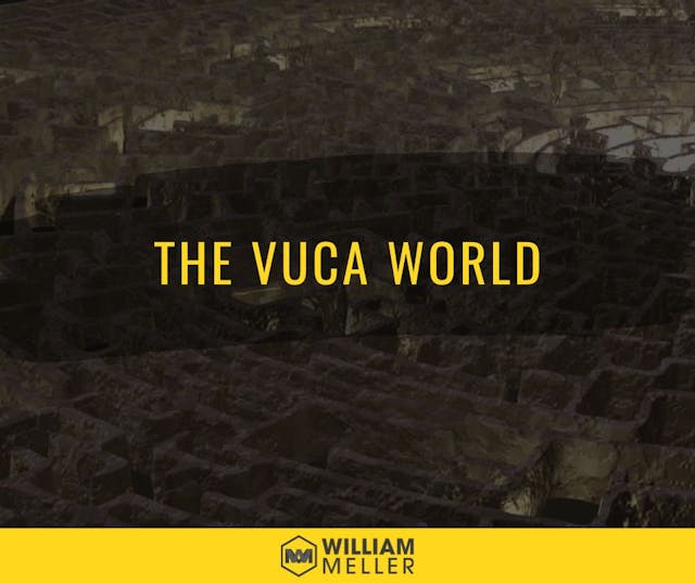 /the-vuca-world-and-its-implementation-in-leadership-strategy feature image