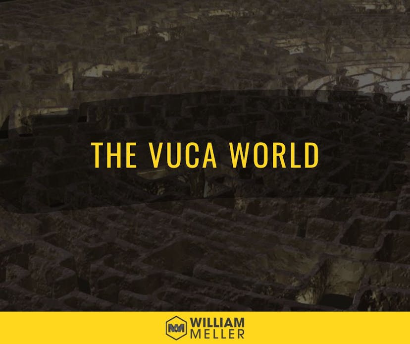 /the-vuca-world-and-its-implementation-in-leadership-strategy feature image