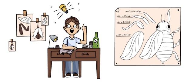 /can-you-make-a-bug-on-purpose feature image