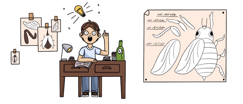 /can-you-make-a-bug-on-purpose feature image