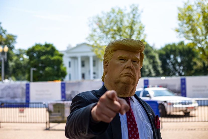 /how-tall-is-donald-trump-and-other-weird-questions-online feature image