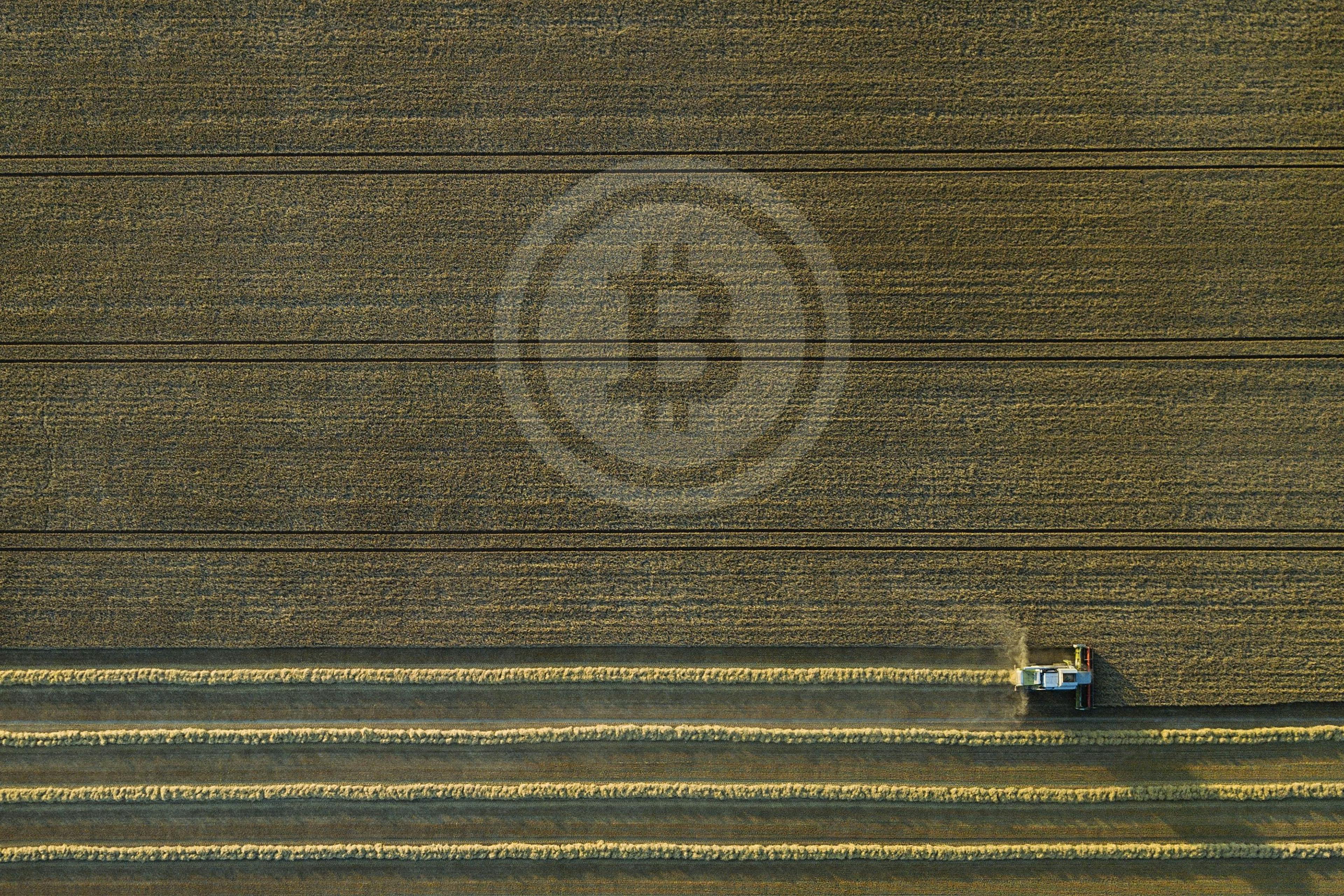 featured image - What is Yield Farming?