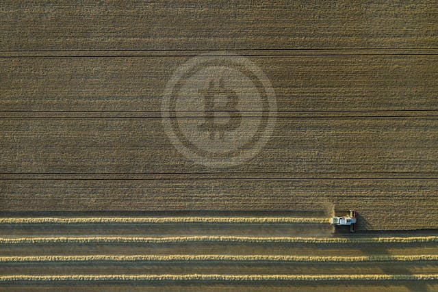 /what-is-yield-farming-l6x34t9 feature image