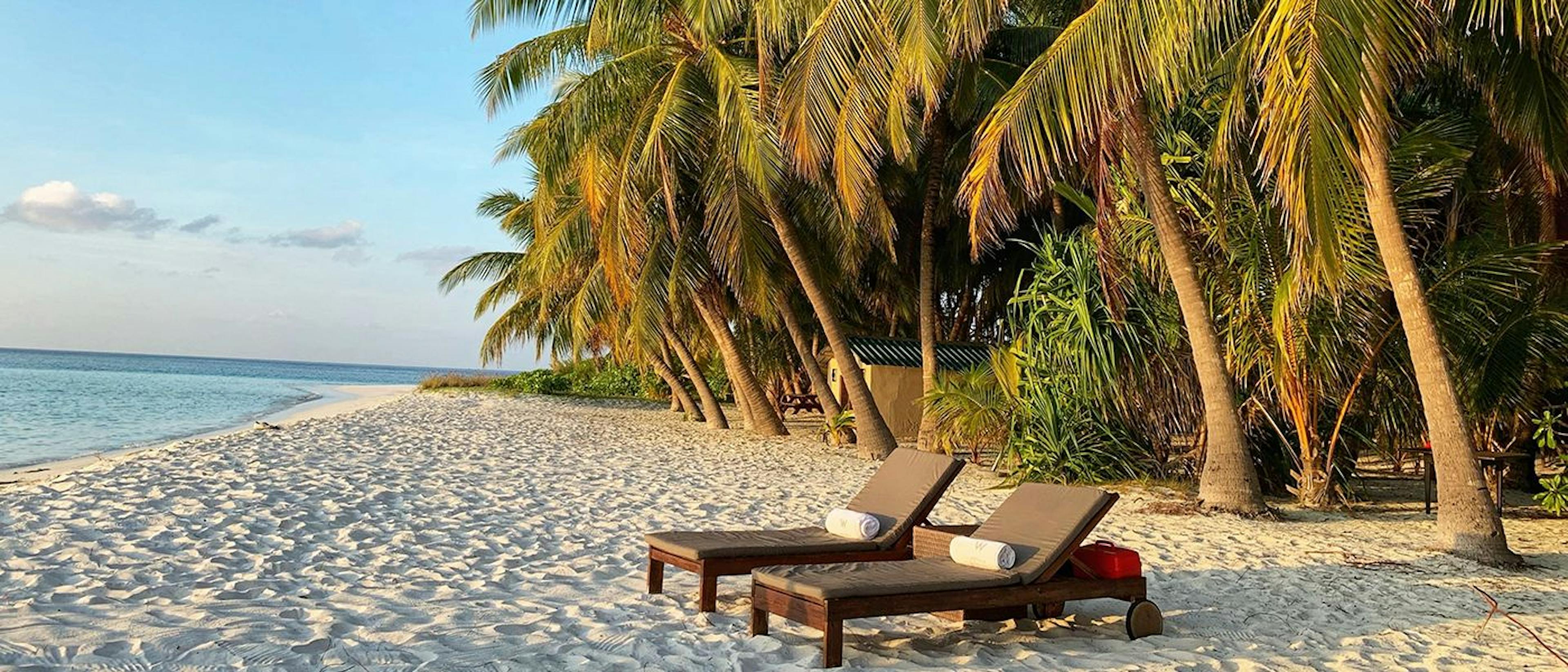 featured image - 5 Mobile Apps You Need For Your Next Summer Trip