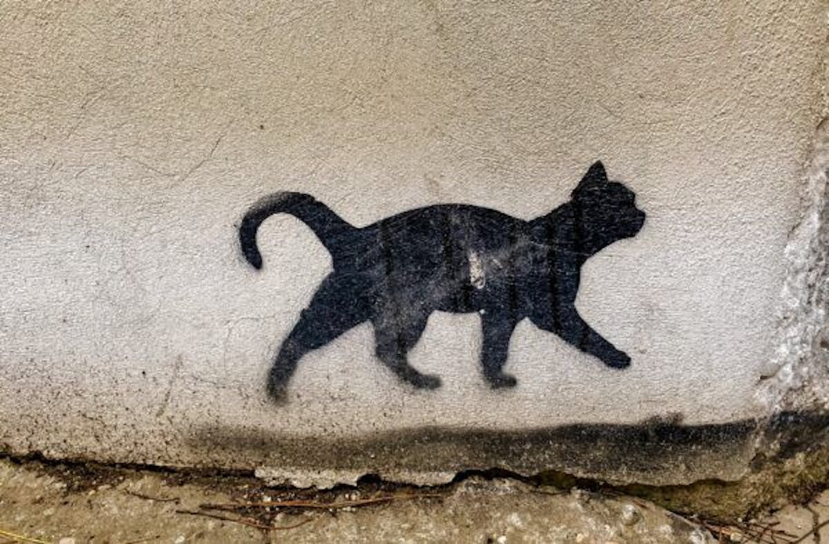 featured image - All Your DAOs Are Belong to Us – The DisCO CAT Speaks