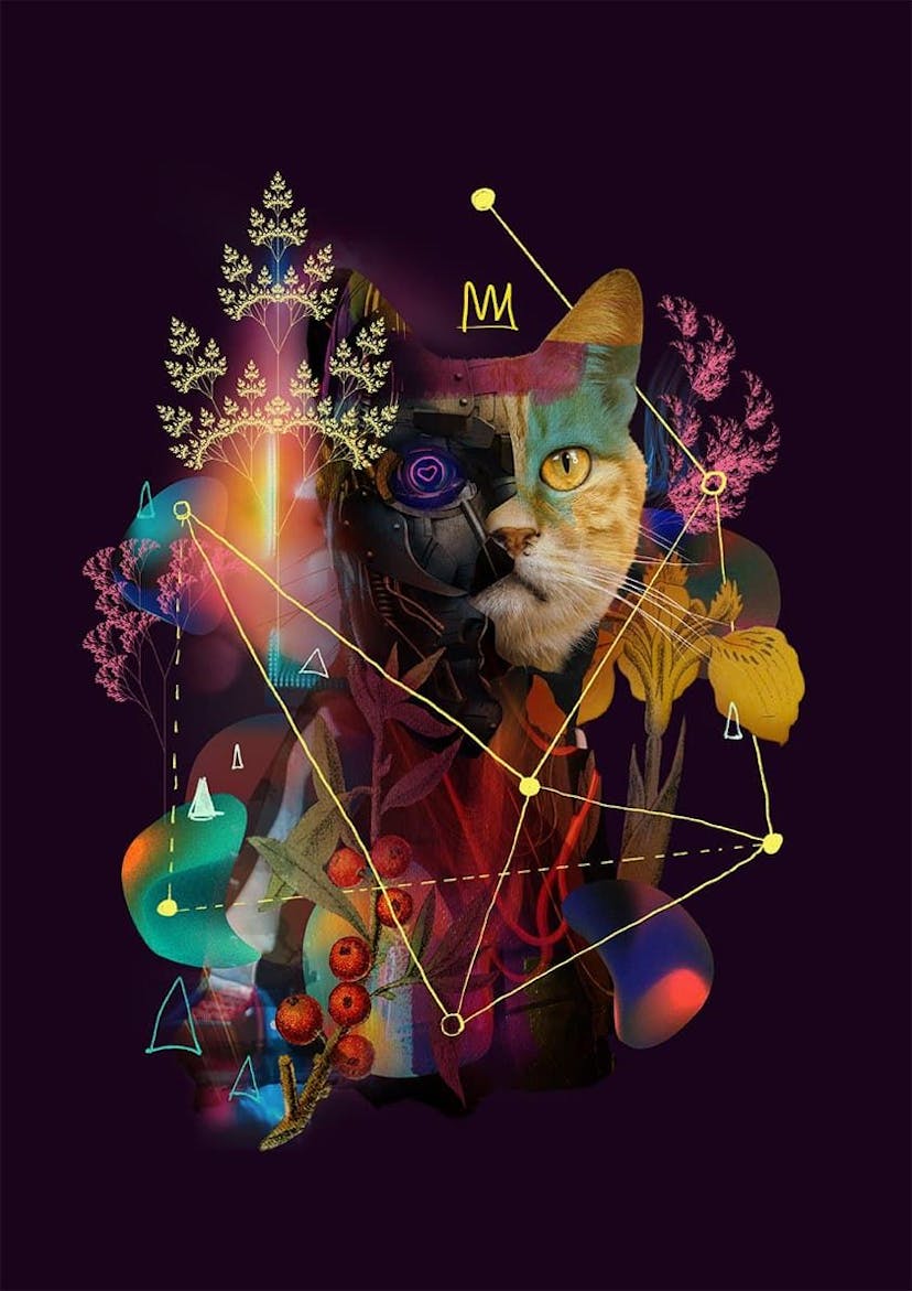 /build-your-distributed-cooperative-organization-with-disco-cat-dr3o332p feature image