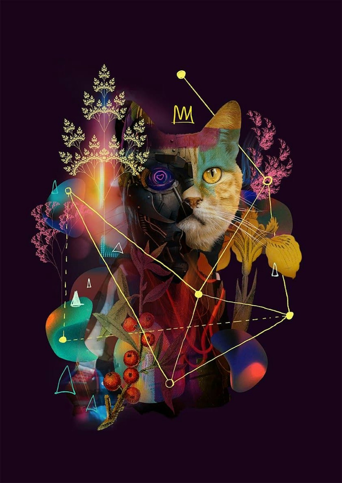 featured image - Build Your Distributed Cooperative Organization with the DisCO CAT