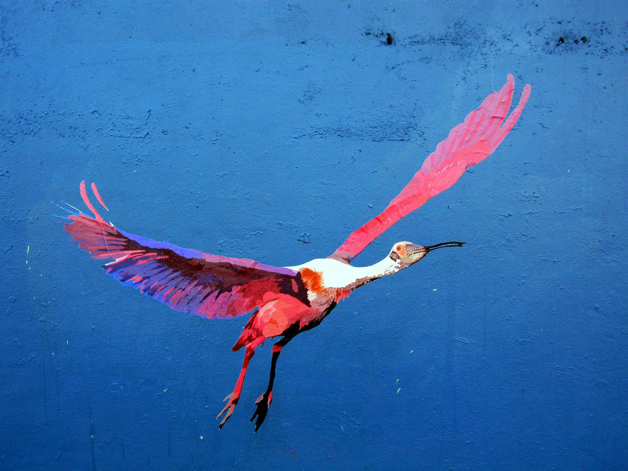 featured image - What Can Make DisCOs Grow