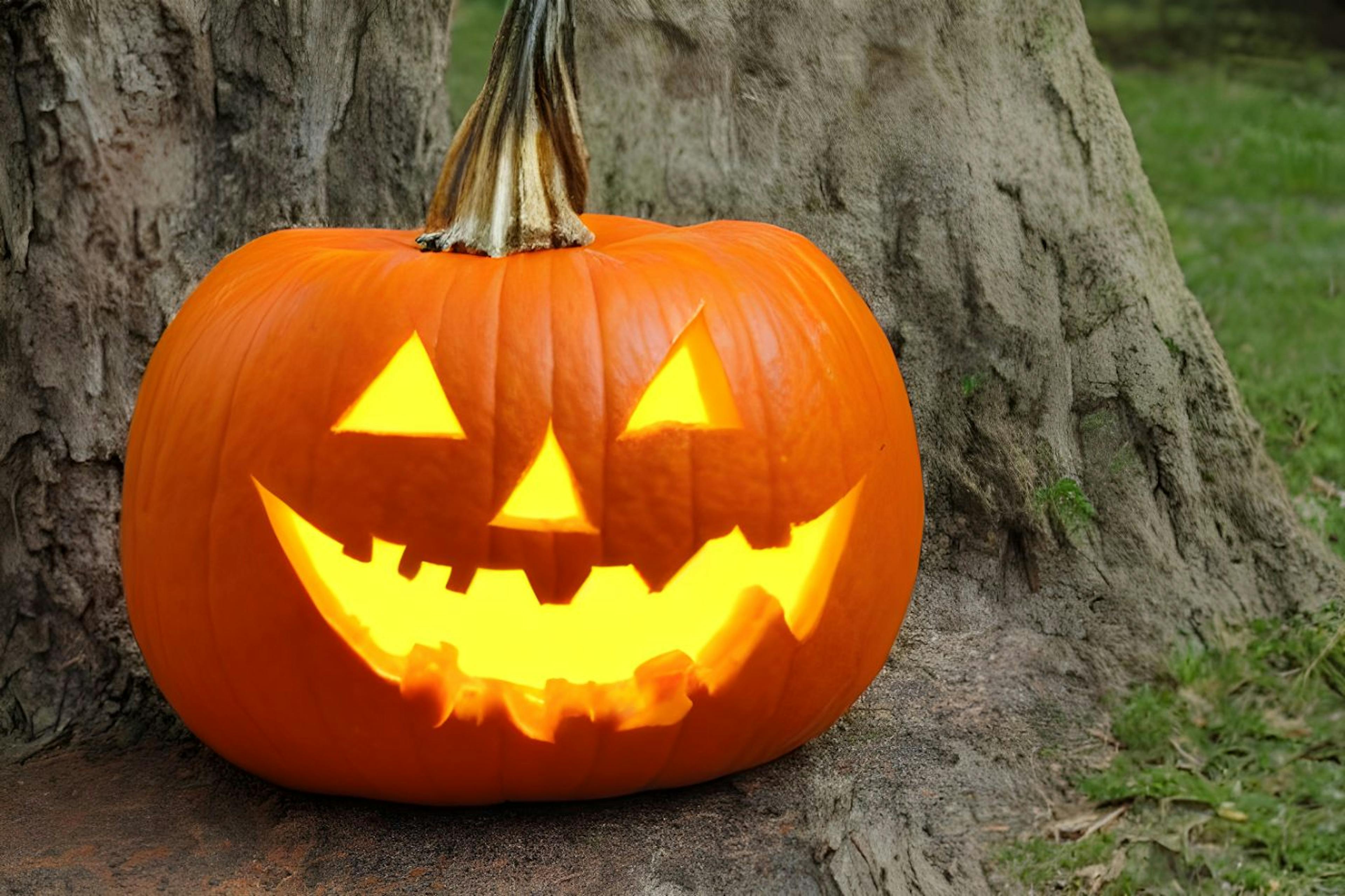 Codepen Embeds Now Supported in 3.0 Editor