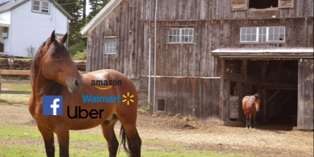 featured image - From Centralized to Decentralized? That Horse Is Out of the Barn