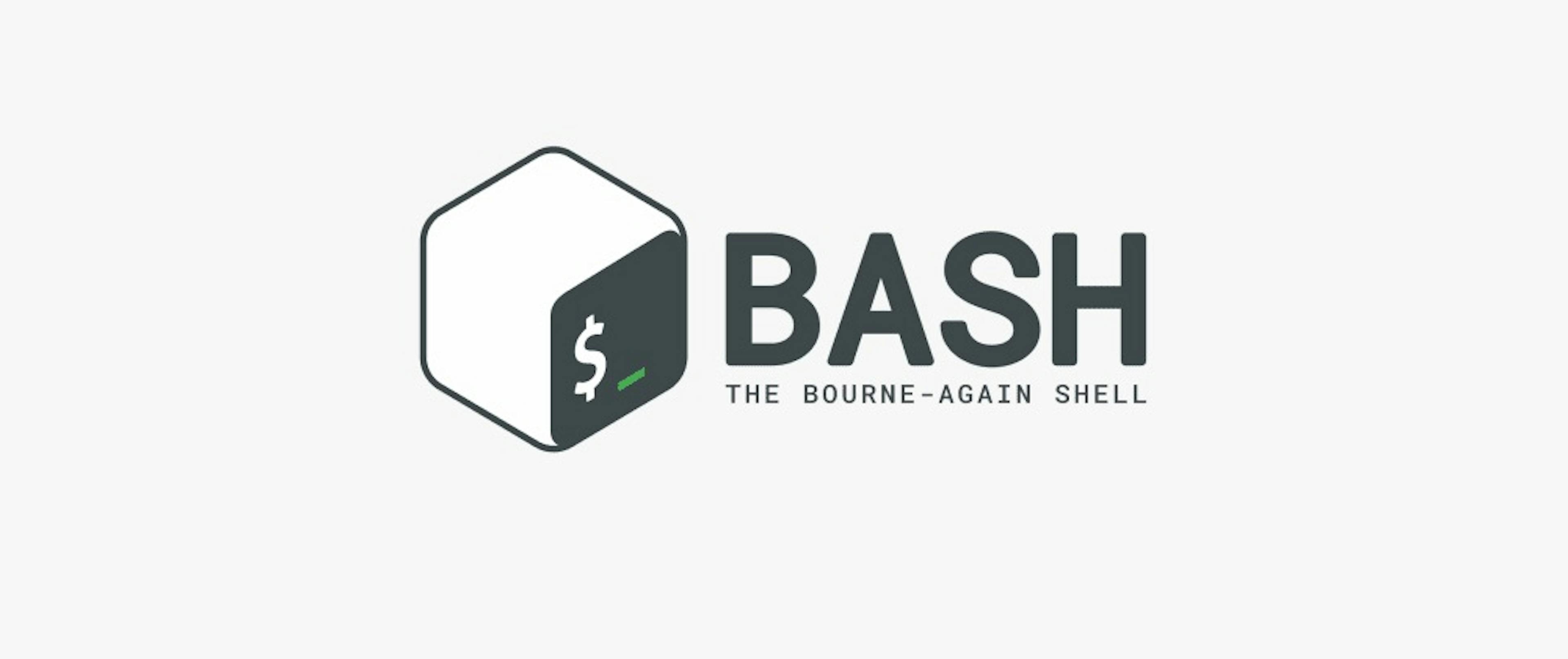 How to use Bash