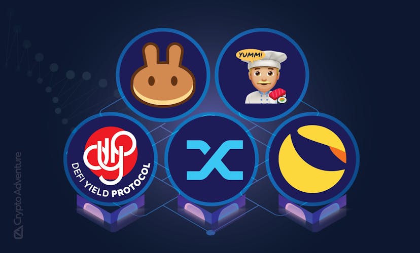 /5-defi-coins-with-the-best-rewarding-options-b14v37lq feature image