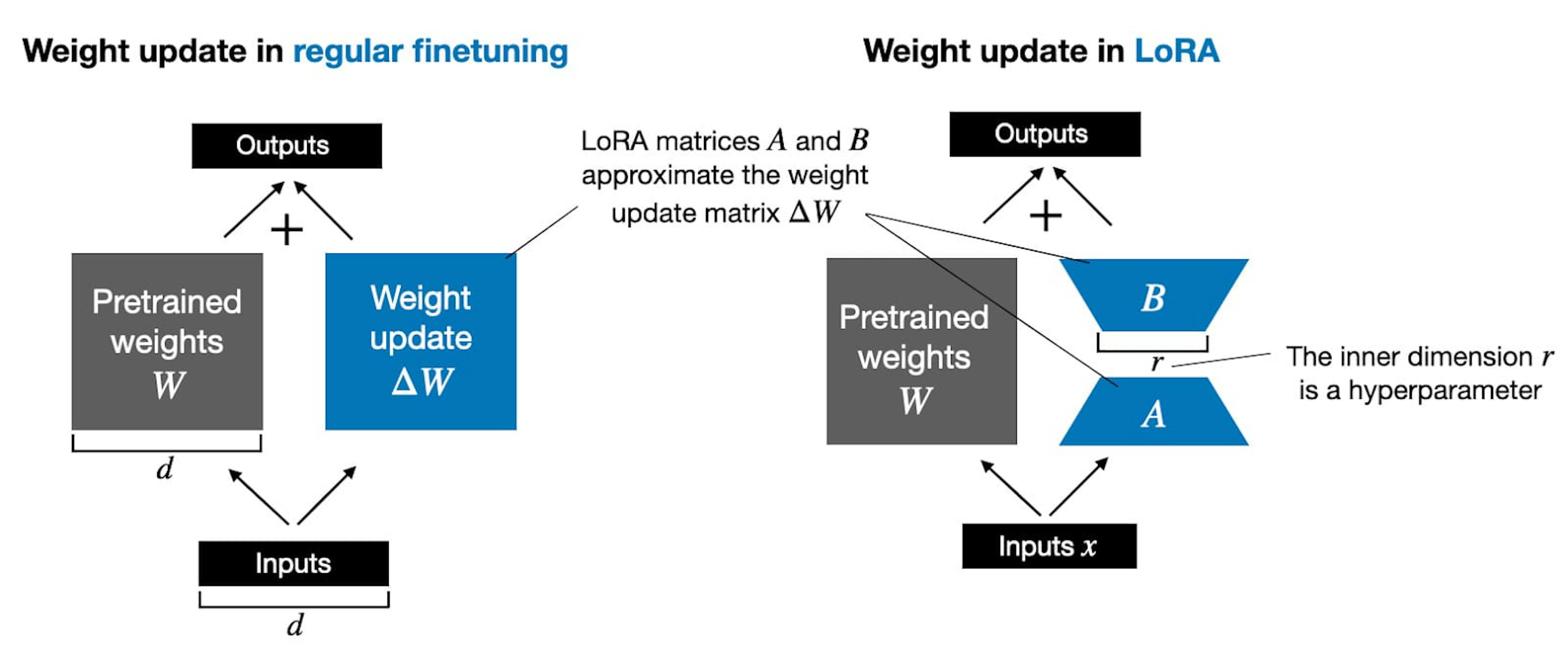Different between LoRA and regular fine-tuning - Practical Tips for Finetuning LLMs Using LoRA (Low-Rank Adaptation)