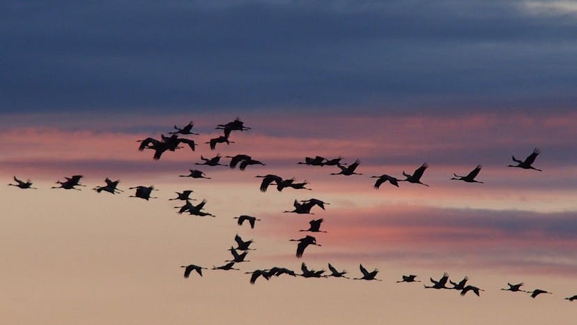 /how-to-migrate-out-of-the-big-tech-ecosystem-j4233494 feature image