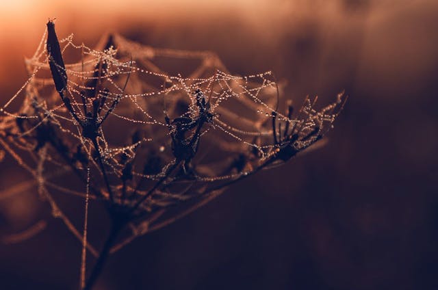 /building-a-real-time-chat-application-with-websocket feature image