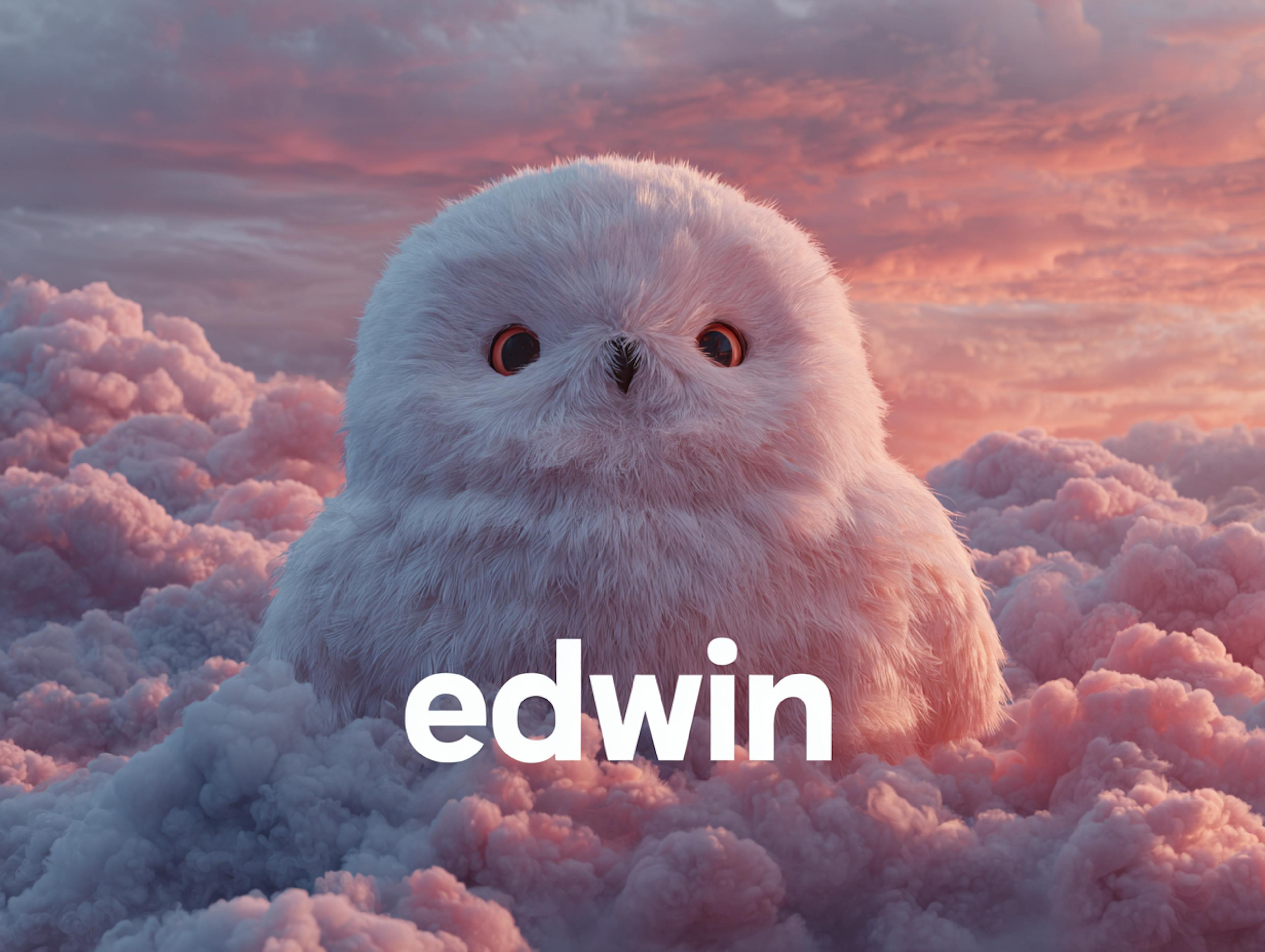 featured image - ทําไม edwin เป็นการเดิมพันบนแชทเพื่อแก้ปัญหาที่ใหญ่ที่สุดของ DeFi