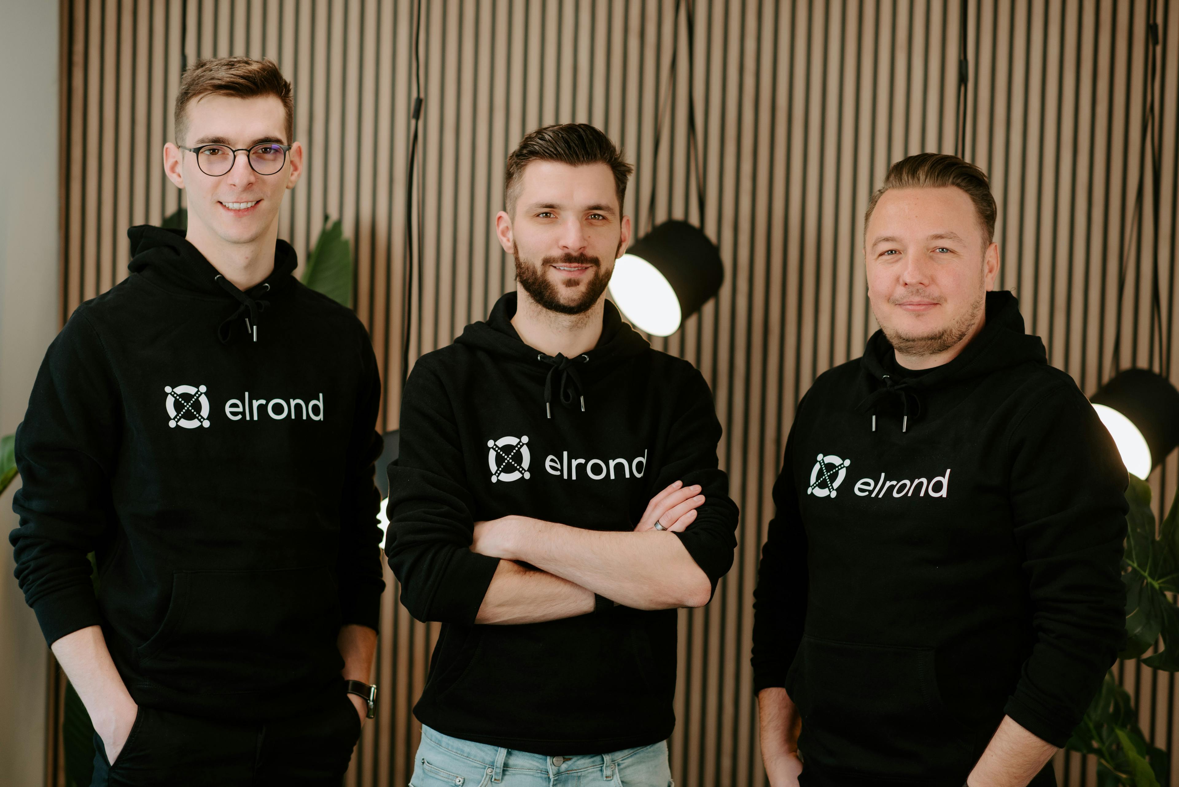 Elrond buys Twispay: A huge step in issuing digital asset-based electronic money from the EU.