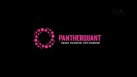 Panther Quant HackerNoon profile picture