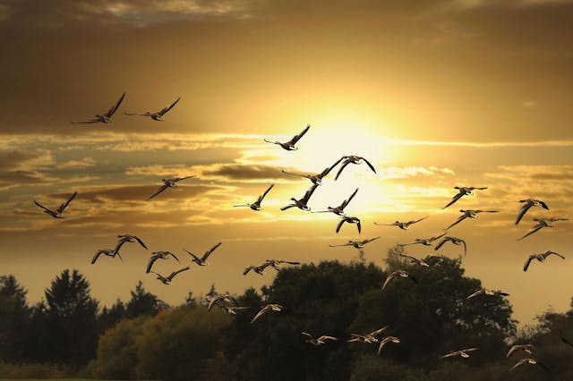 /why-boring-software-migration-projects-could-be-your-secret-weapon feature image